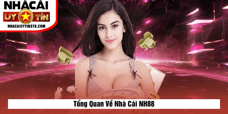 Tổng Quan Về Nhà Cái NH88